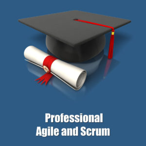 Professional Agile and Scrum | Management Square