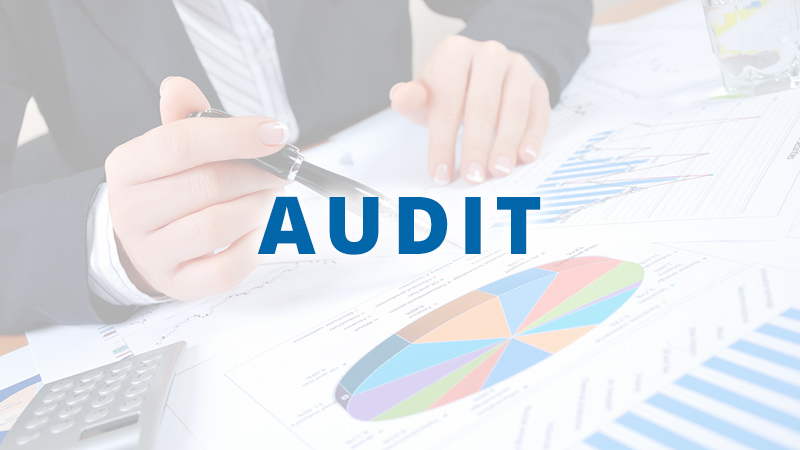 Project Audit | Business Consulting