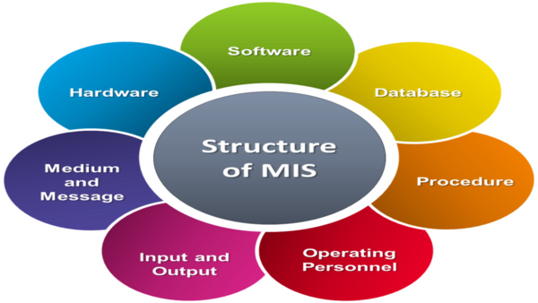 Definition of Management Information System